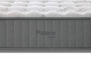 Flex Palace