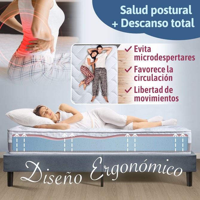 Elite Smart: diseño ergonómico y salud postural, imagen del fabricante