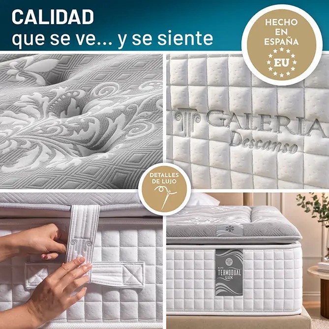 Elite Termodual Lux: detalles del acolchado, la platabanda y las asas