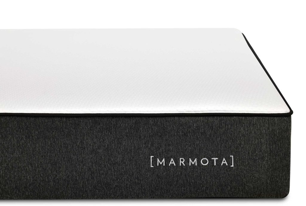 Marmota El Marmota, detalle de la esquina con el logotipo en la funda gris