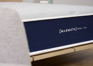 Marmota Hybrid Techno Firm