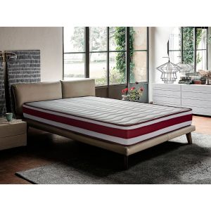 Somnalis Roll Visco 19
