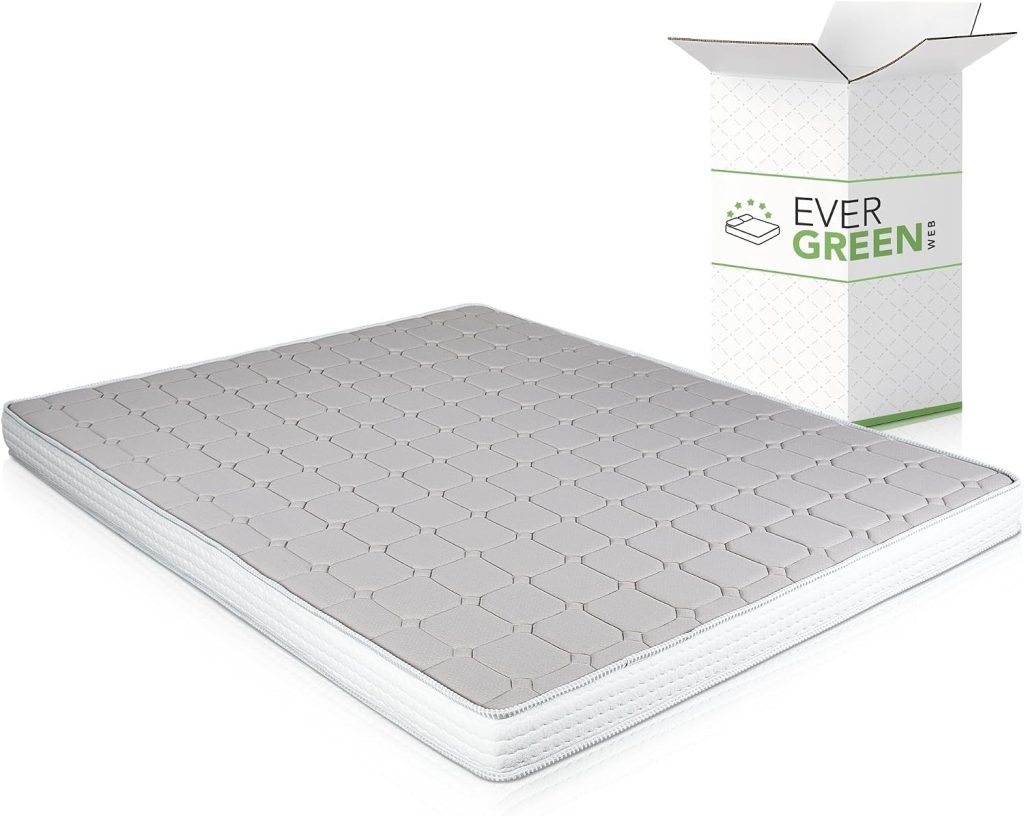 EverGreenWeb Daybed Memory