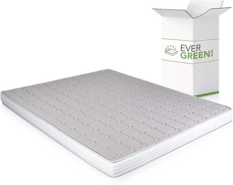 EverGreenWeb Daybed Memory