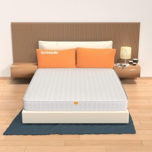 MiaSuite Primavera H14